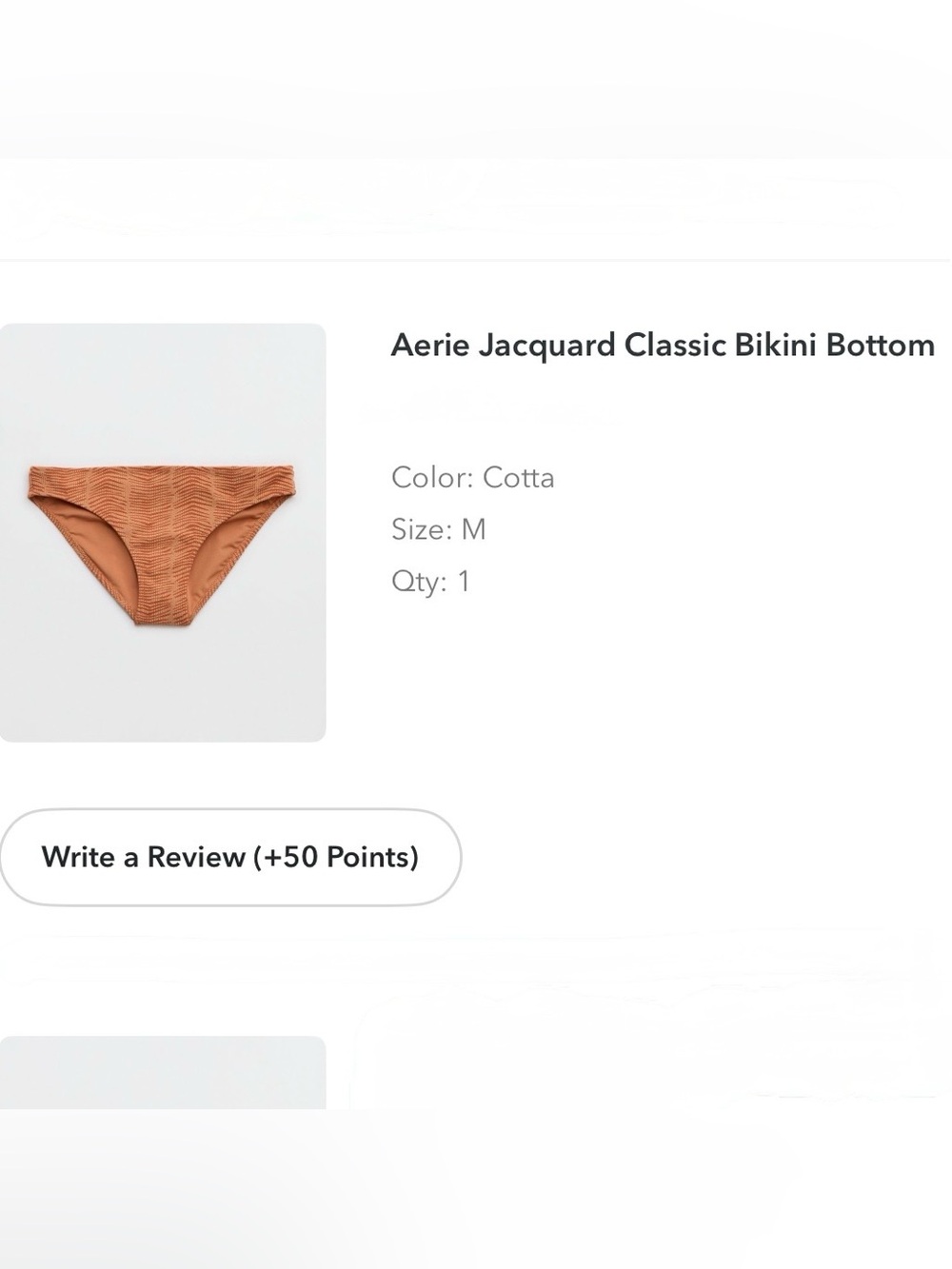 AERIE Burnt Orange Bikini Bottom